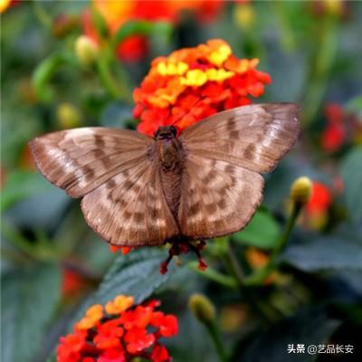 见美丽·见活力·见未来——从湖州“三重蝶变”看见中国式现代化美好图景